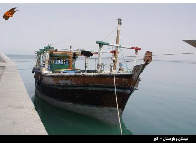 سردخانه لنچ صیادی ، سردخانه تونل انجماد و نگهداری