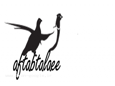 فروش قرقاول