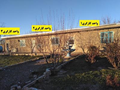 فروش گاوداری فعال و مجهز در قزوین