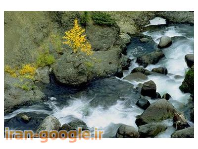 خریدار یک باغ بهمراه خانه قدیمی، گلی، کلنگی داخل بافت روستا در تنکابن، خرم آباد، بلده 