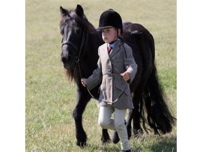 پوشال و خاک اره آیدین , پوشال مرغداری و بستر دام طیور و پوشال گاوداری و بستر اسب و خاک اره زغال