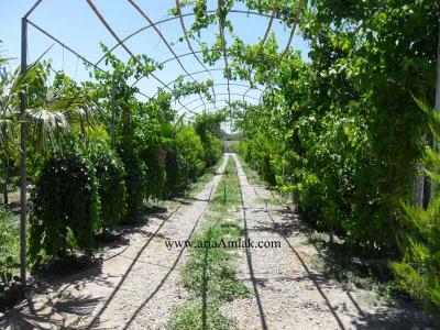 1850 متر ویلا باغ با تسویه جهاد 