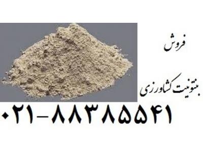 بنتونیت-خواص