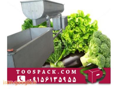 بسته بندی سبزیجات-دستگاه شستشوی صیفی جات 