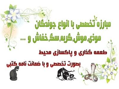 خدمات سمپاشي