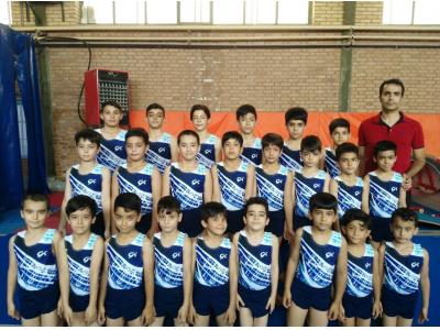 باشگاه ژیمناستیک