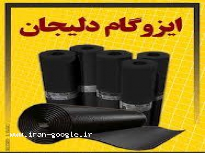 ايزوگام دليجان 