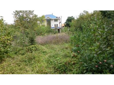 فروش بدون واسطه زمین کلاردشت رودبارک