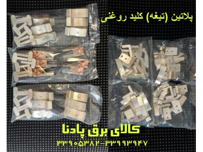 فروش انواع پلاتین یا تیغه کلید روغنی   اسبیک