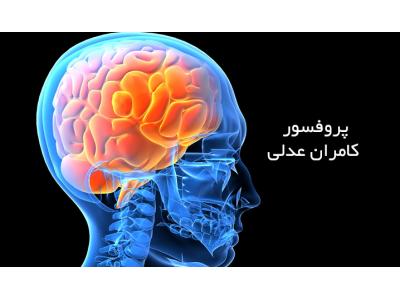 آفریقا-بهترین   روانپزشک و روانکاو در تهران 