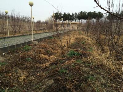 فروش باغ ویلا 5000 متری در خوشنام (کد237)