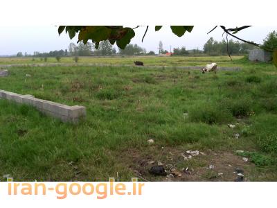 حصار-فروش زمینی 500 متر ی  در گیلان 
