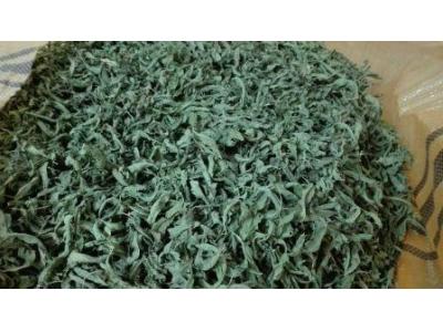 تولید و فروش به لیمو 