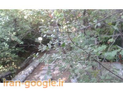 فروش باغ رستوران فعال درطالقان