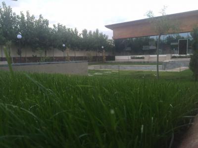  فروش باغ ویلا 1000 متری در صفادشت (کد295)