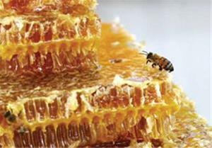  عسل فروشی طبیعی سبلان