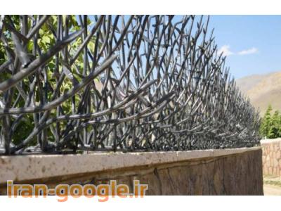 عرضه انواع حفاظ بوته ای با قیمت بسیار مناسب 