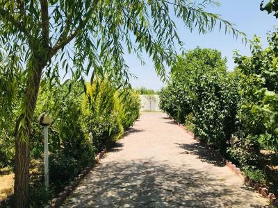 سبز-باغ ویلای 4570 متری سرسبز در شهریار