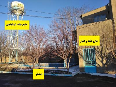 فروش گاوداری فعال و مجهز در قزوین