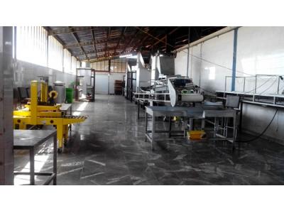 فروش کارخانه بسته بندی و فرآوری کشمش و مواد غذایی