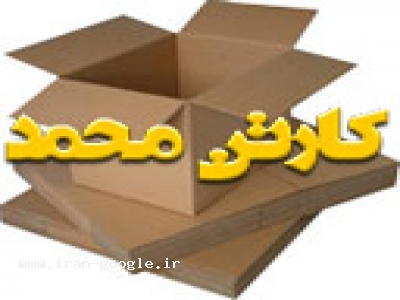 فروش بست تسمه پلاستیکی-کارتن سازی کارتن محمد