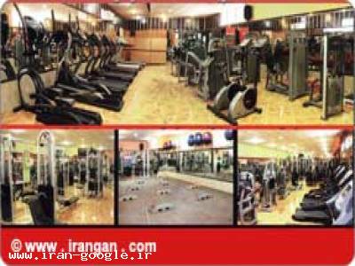 باشگاه امیر 