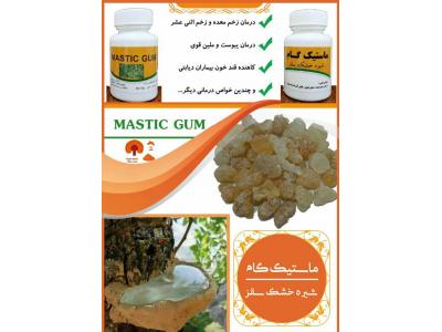 آدامس طبیعی گیاهی سقز کندر