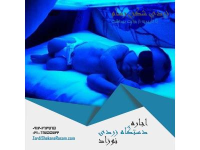 اجاره دستگاه زردی نوزاد با ارزان ترین قیمت در تهران و شهرستانها