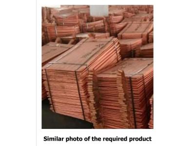 فروش کاتد صادراتی 25% زیر قیمت LME