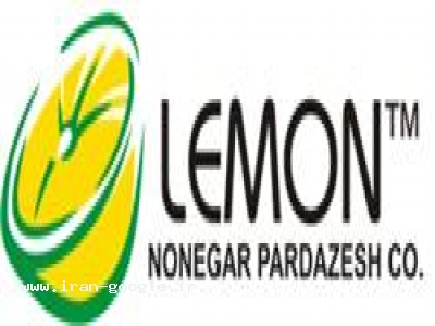 زمین مسکونی داخل بافت در شمال