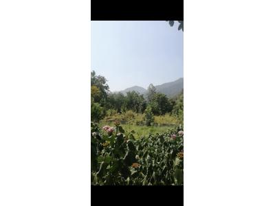 یک قطعه زمین با مجوز ساخت 