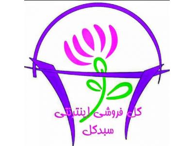 طراحی و اجرای دیوار سبز و دیوار گل مصنوعی