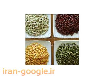 توزیع بذرکتان-تهیه و توزیع حبوبات و غلات