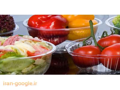 سازنده قطعات پلاستیکی و بسته بندی موادغذایی و صنعتی 