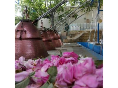 تولید گلاب و عرقیات اصل کاشان