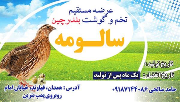  فروش گوشت و تخم بلدرچین در استان همدان