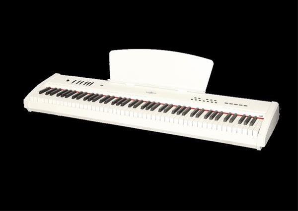  پیانو دیجیتال برگمولر DIGITAL PORTABLE PIANO P10