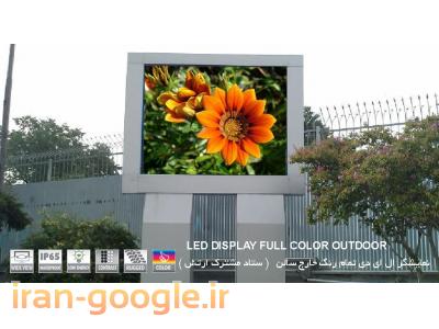 تلویزیون شهری ایلیا