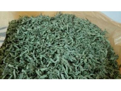 تولید و فروش به لیمو 