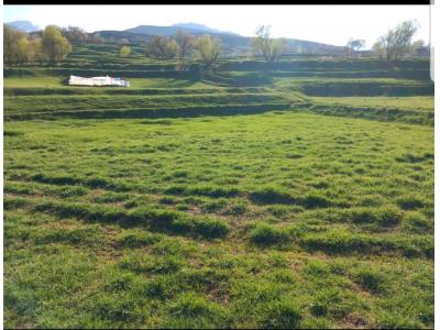 باغ در طالقان 