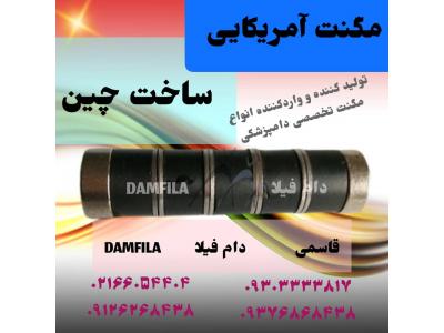 مگنت امریکایی