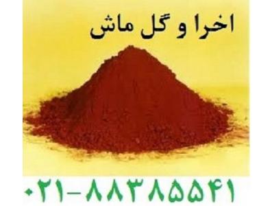 ابوموسی-اخراوگل ماش