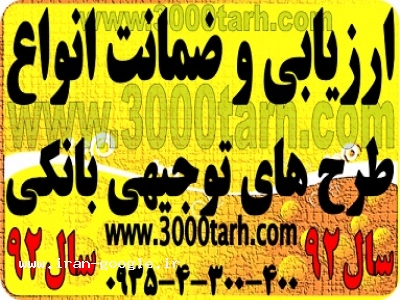تهیه و ارایه طرح های توجیهی برای گرفتن وام بانکی