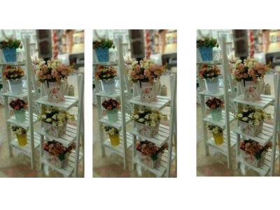 قاب عکس نردبانی ، استند نردبان ، نردبان تزئینی ، شلف Pvc