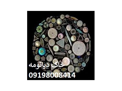 قیمت سم ساس