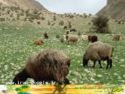 گیلان ؛ کمربندی رودسر