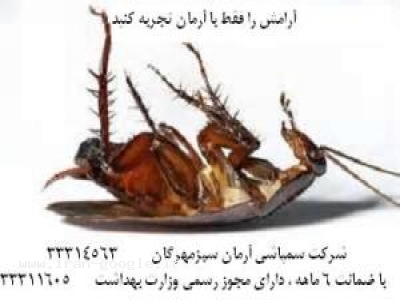    سمپاشی تضمینی ویژه سوسک درشت و ریز/ ساس/ پشه/ مگس