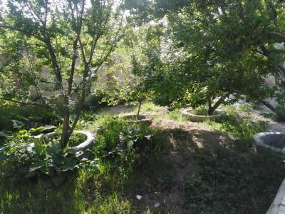 ملک بین-800 متر باغ ویلا با درختان قدیمی در شهریار