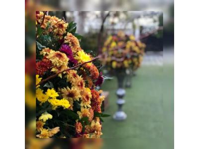 تالار تشریفات ماژ