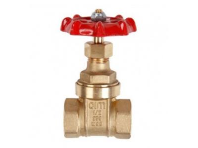 شیر فلکه دروازه ای (کشویی) سیم ایتالیا